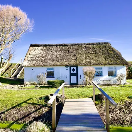 Reetdachhus Meduse Holiday home