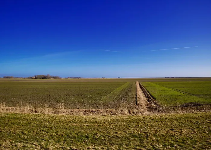 Reetdachhus Meduse Vakantiehuis *